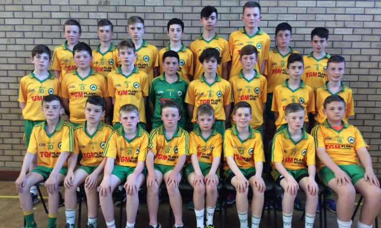 Feile 2017 Pen Pics